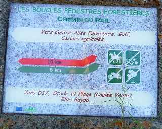 Forêt de l'Etang-Salé - Chemin du rail