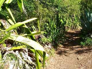 Fort de l'Etang-Sal - Sentier