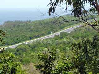 Forêt de l'Etang-Salé - Route des Tamarins