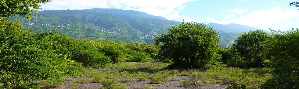 Fort de l'Etang-Sal -  Vers les Hauts