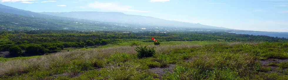 Fort de l'Etang-Sal -  Piton Reinette