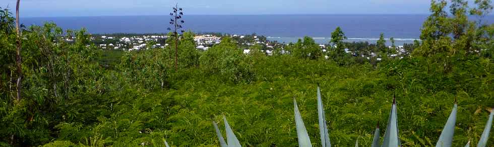 Fort de l'Etang-Sal - Vue du haut du Gros Piton