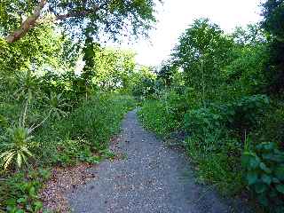 Fort de l'Etang-Sal - Vers la ravine Mulla  -