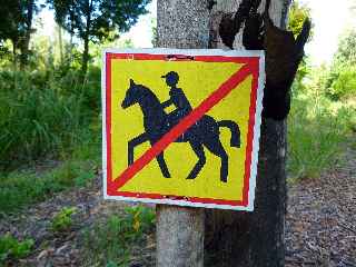 Fort de l'Etang-Sal -  Sentier interdit aux chevaux