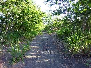 Fort de l'Etang-Sal -  Vers la ravine Mulla