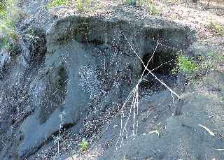 Fort de l'Etang-Sal -  Eboulement de sable dans la ravine Mulla