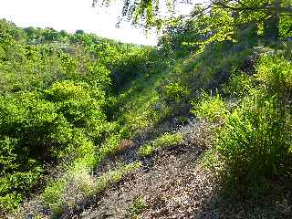 Fort de l'Etang-Sal -  Ravine Mulla