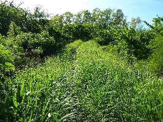 Fort de l'Etang-Sal -  Fataques