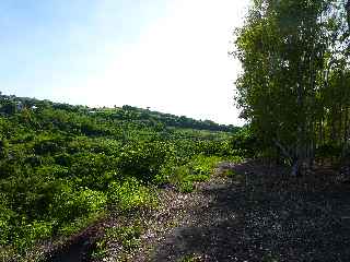 Fort de l'Etang-Sal -  Bas des Avirons