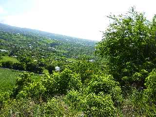 Fort de l'Etang-Sal -  Vers les Hauts