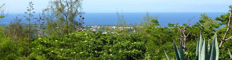 Fort de l'Etang-Sal -  Vers le rivage