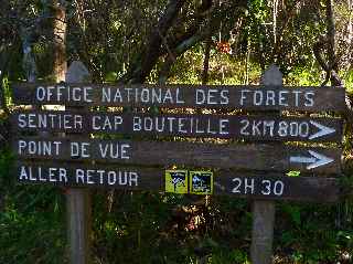 Sentier Cap Bouteille - Cilaos