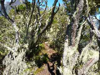 Col Choupette - Sentier vers la Pointe Rouge