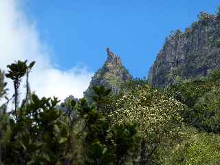 Cap Bouteille - Pic Mikado