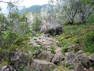 Sentier Cap Bouteille