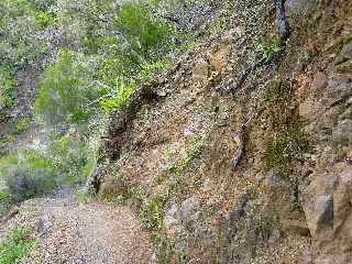 Sentier vers le Tabit - zone d'boulis