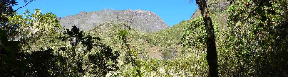 Grand Bnare, du sentier Cap Bouteille