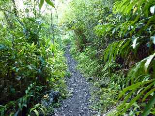 Sentier vers Cap Blanc, remonte de la Grande Ravine