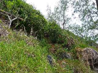 La Petite le (Runion) - Sentier de descente en pied de falaise