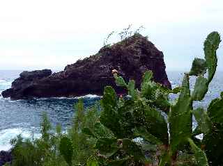 La Petite Île (Réunion) - Sentier de descente en pied de falaise