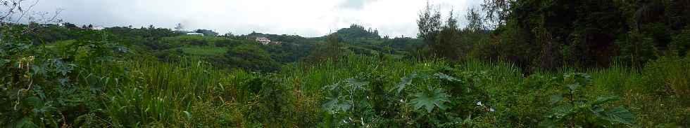 Petite-le - Piton du Calvaire