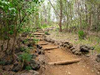 Monte au Piton de Grande Anse -