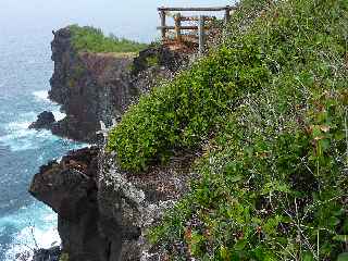 Piton de Grande Anse - Cap Auguste