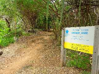 Grande Anse, site naturel protégé