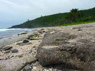 Plage de Grande Anse - Grès de plage