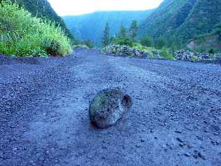 Rivire des Remparts - Piste des carriers