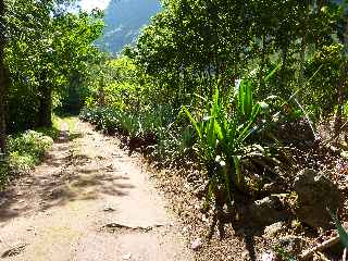 Roche Plate, entre du village