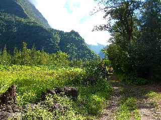 Rivire des Remparts - Roche Plate