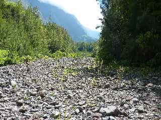 Rivire des Remparts - Roche Plate