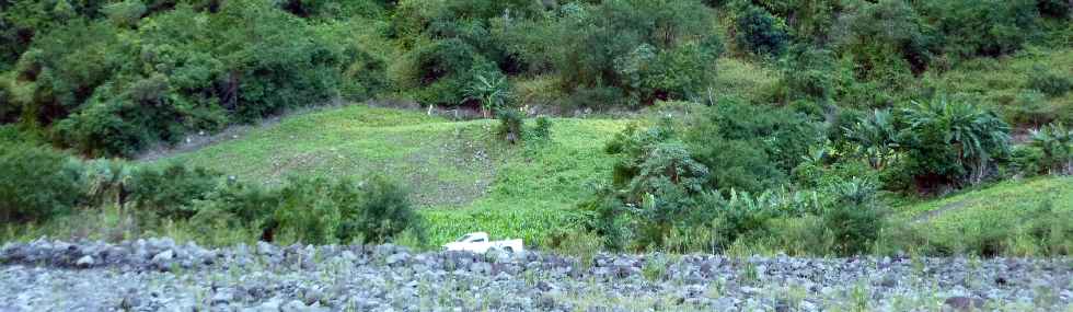 Rivire des Remparts - Ilet sous le Rein du Dimitile