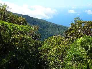 Fort de Jacques Payet - Ravine Basse Valle