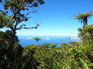 Fort de Jacques Payet - Abords du Piton Lard