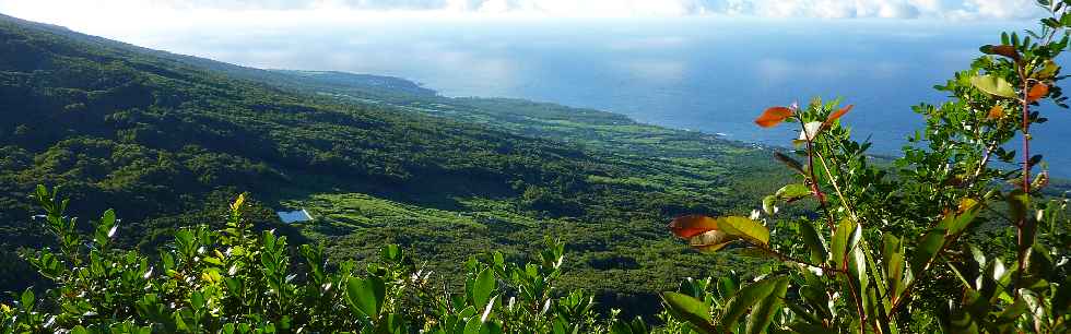 Jacques Payet - Vue sur St-Philippe