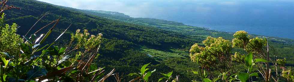 Jacques Payet -  Vue sur St-Philippe