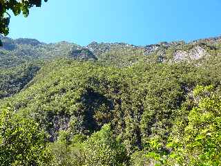 Vue sur le rempart - Jardin botanique du Piton Btoum - Cilaos (Bras Sec) -