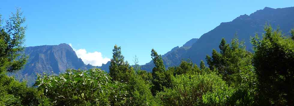 Vue sur le Grand Bnare et le PIton des Neiges - Jardin botanique du Piton Btoum - Cilaos (Bras Sec) -