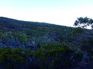 Sentier du Gte des Tamarins au Grand Bnare -  Branles