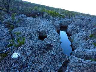 Sentier du Gte des Tamarins au Grand Bnare -  Passage du Bras de la Grande Ravine