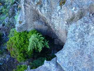 Sentier du Gte des Tamarins au Grand Bnare -  Caverne (abri sous roche)