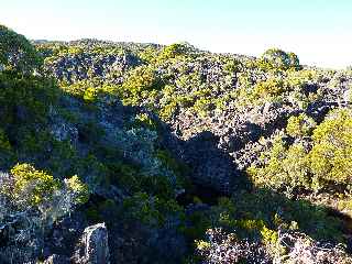 Sentier du Gte des Tamarins au Grand Bnare -  Grande Ravine