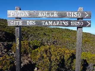 Sentier du Gte des Tamarins au Grand Bnare -  Piton Rouge