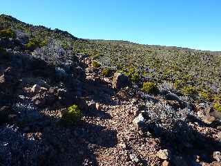 Sentier du Gte des Tamarins au Grand Bnare -  Monte dans les scories