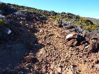 Sentier du Gte des Tamarins au Grand Bnare -  Monte dans les scories