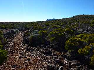 Sentier du Gte des Tamarins au Grand Bnare -  Vers le bord du rempart de Mafate