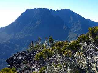 Sentier du Gte des Tamarins au Grand Bnare -  Massif des Salazes