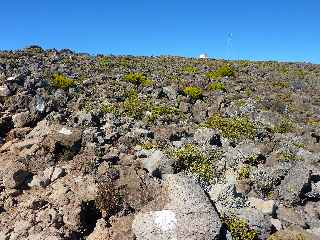 Sentier du Gte des Tamarins au Grand Bnare -  En vue de l'antenne